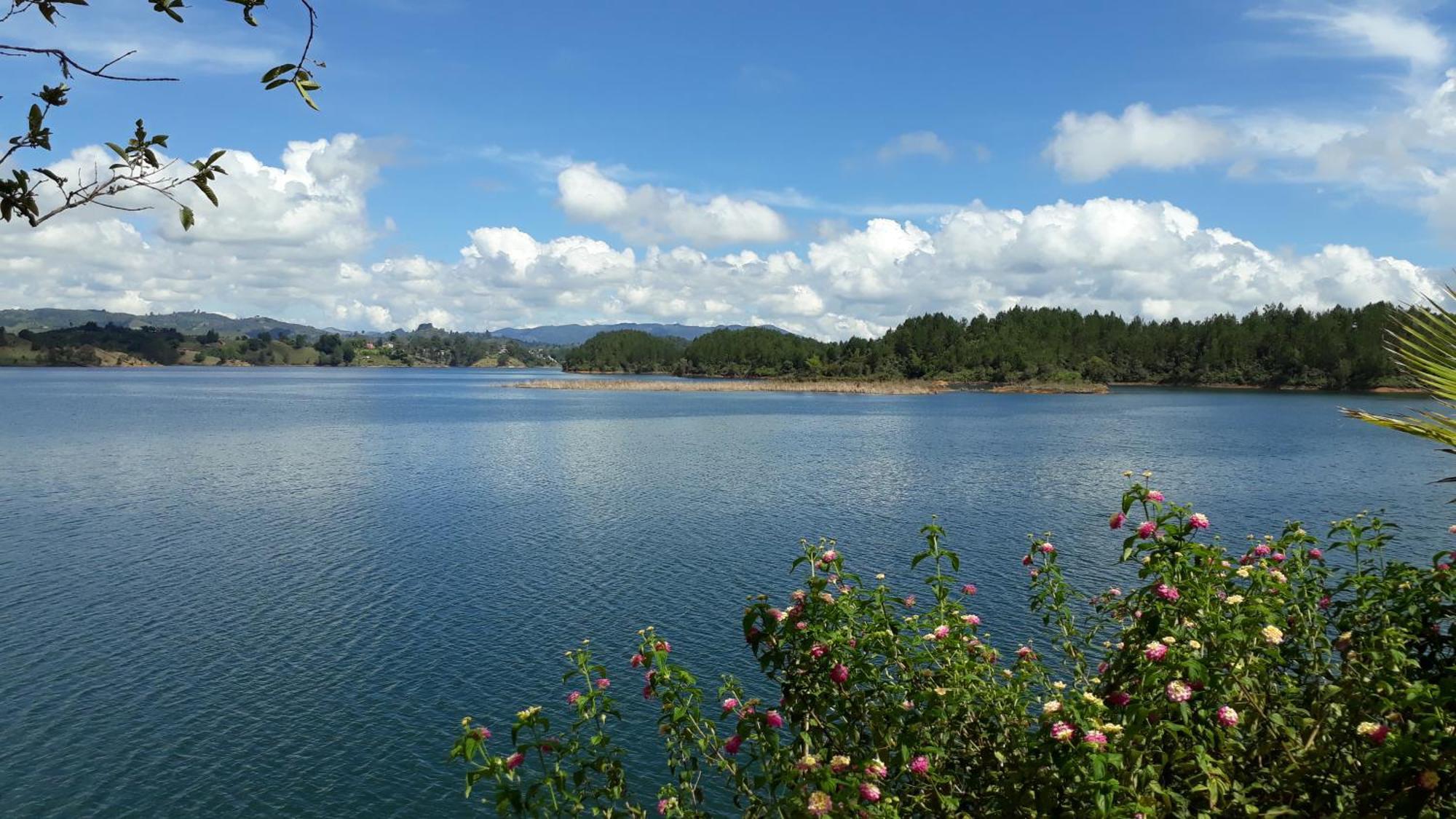 El Trebol Guest House Guatape Exterior photo